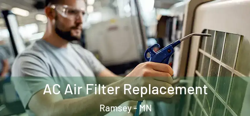  AC Air Filter Replacement Ramsey - MN