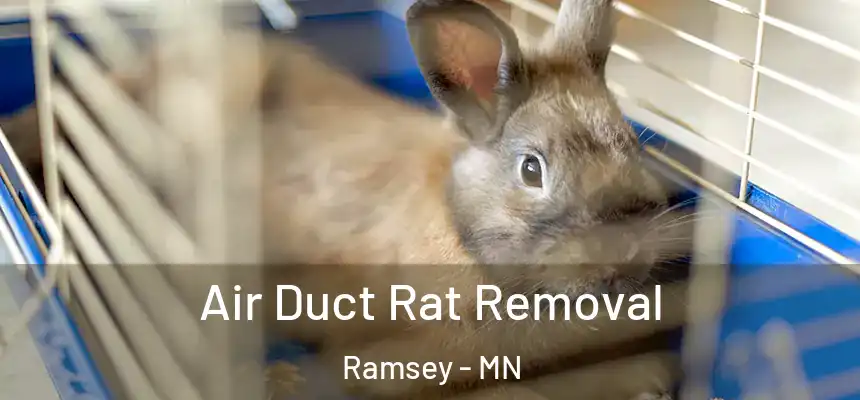  Air Duct Rat Removal Ramsey - MN