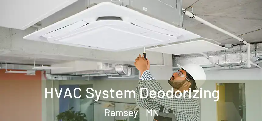  HVAC System Deodorizing Ramsey - MN