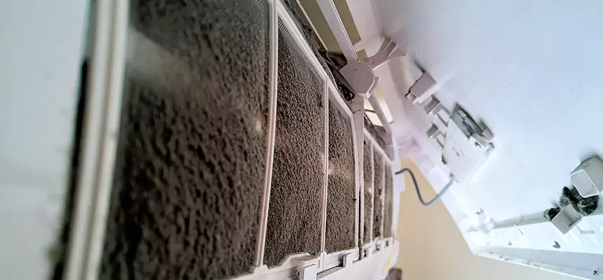 Preventive Air Duct Bacteria Removal in Ramsey