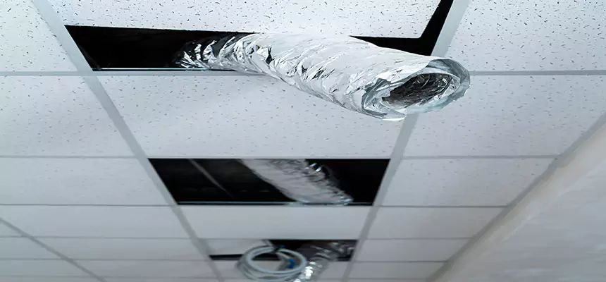 Affordable HVAC Sanitizing After Pest Removal in Ramsey