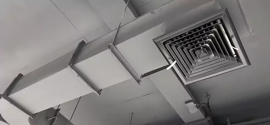 Restorative Allergy Relief Vent Cleaning – Coil, Blower & Housing Detail in Ramsey