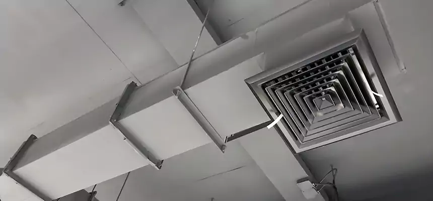 Our Rodent Droppings In Vents Services in Ramsey, MN