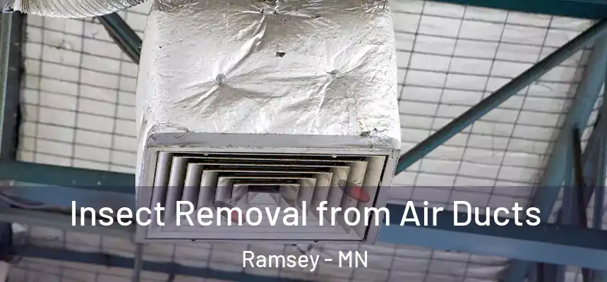  Insect Removal from Air Ducts Ramsey - MN