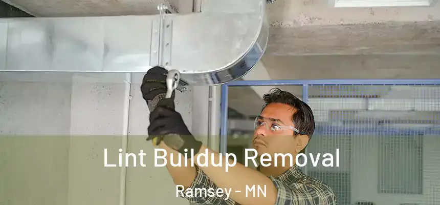  Lint Buildup Removal Ramsey - MN