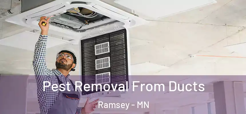 Pest Removal From Ducts Ramsey - MN