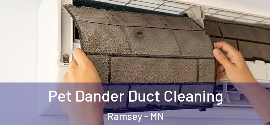  Pet Dander Duct Cleaning Ramsey - MN