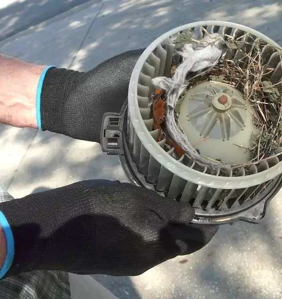 About Air Duct Mice Removal in Ramsey, MN