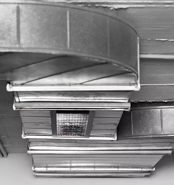 Professional Air Duct Pet Hair Removal in Ramsey, MN