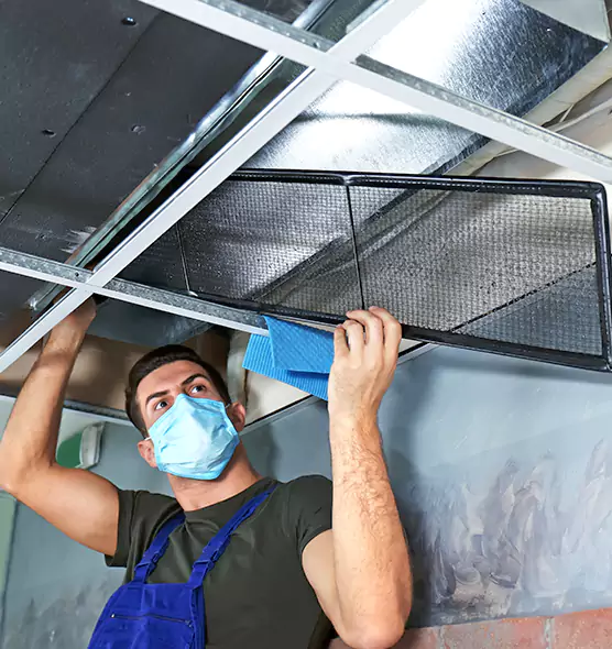 Professional Air Duct Pollen Cleaning in Ramsey, MN