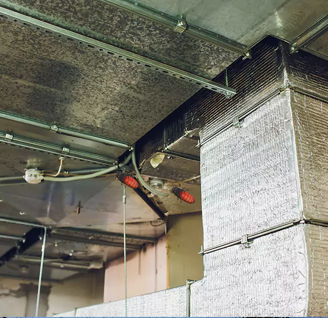 Why Homeowners & Businesses Trust Us in Ramsey, MN?