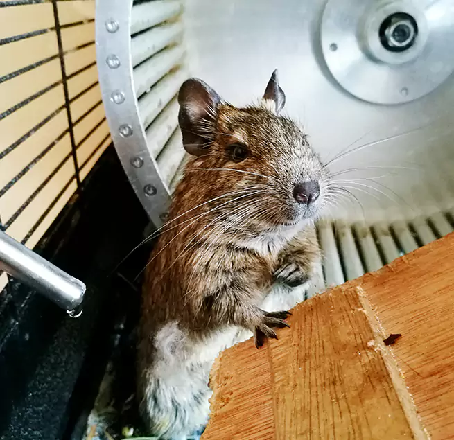 Why Homeowners & Businesses Trust Us Ramsey, MN