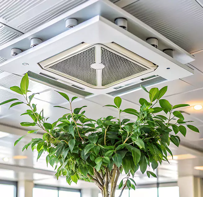 Why Homeowners & Businesses Trust Us in Ramsey, MN?