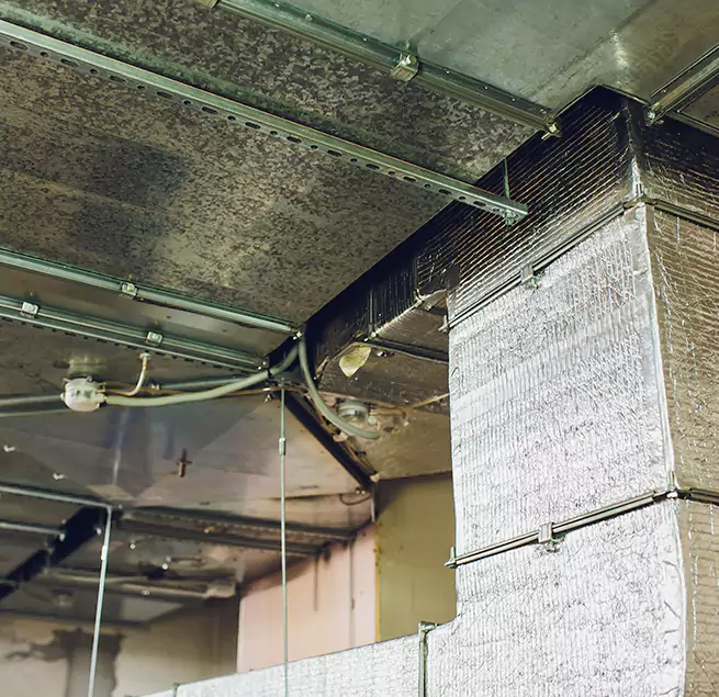 Why Homeowners & Businesses Trust Us in Ramsey, MN?